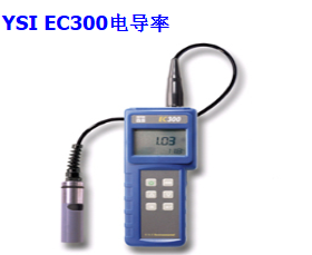 美国YSI ec300